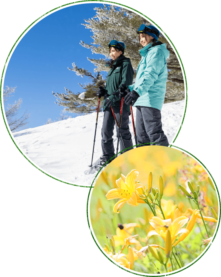 二人の女性が雪景色を見ている画像と花の画像