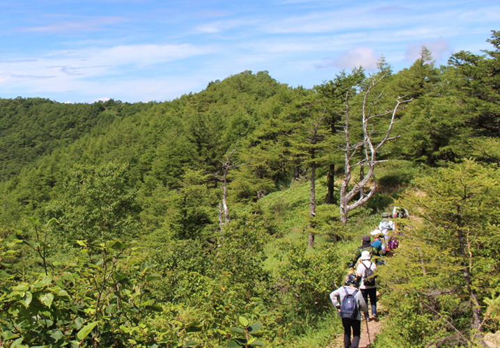 グループ・団体